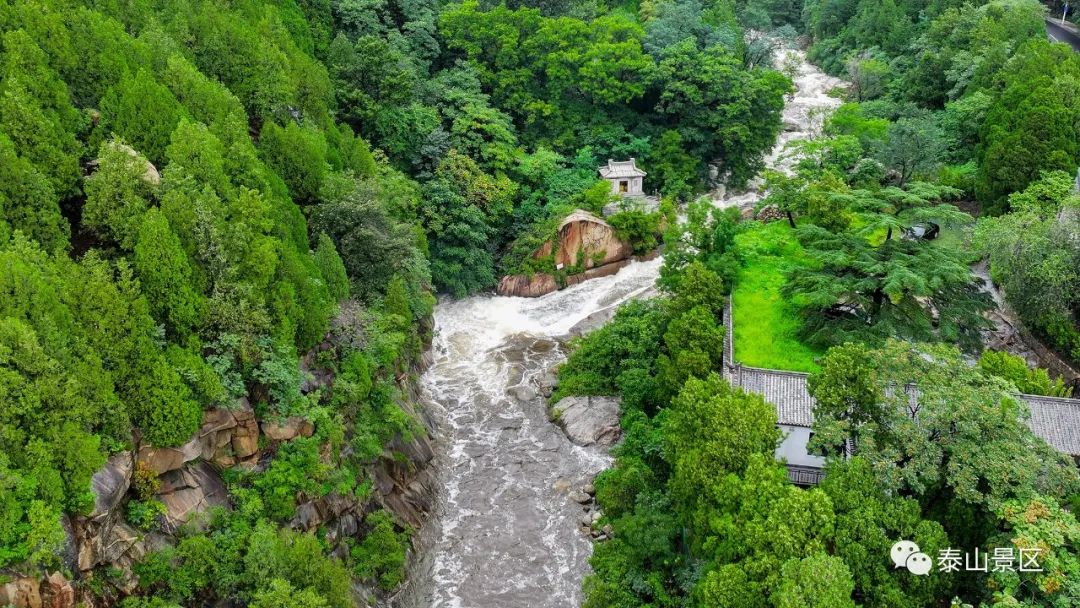 泰山奇石河神150萬_泰山奇石_泰山奇石介紹